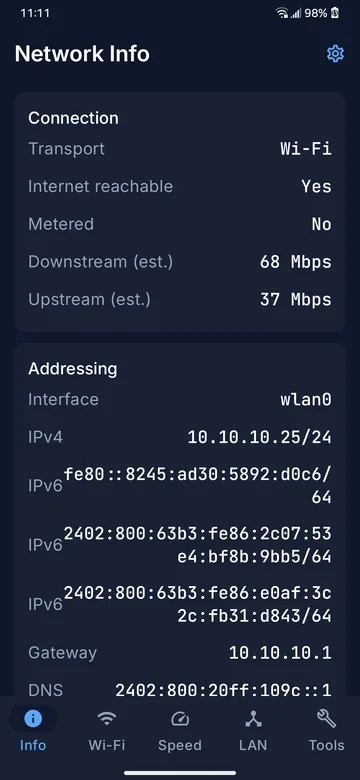 Network info: interface, IPv4 and IPv6 addresses, gateway, DNS servers and MTU